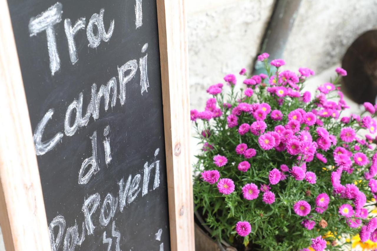 Tra I Campi Di Papaveri Medesano Eksteriør bilde